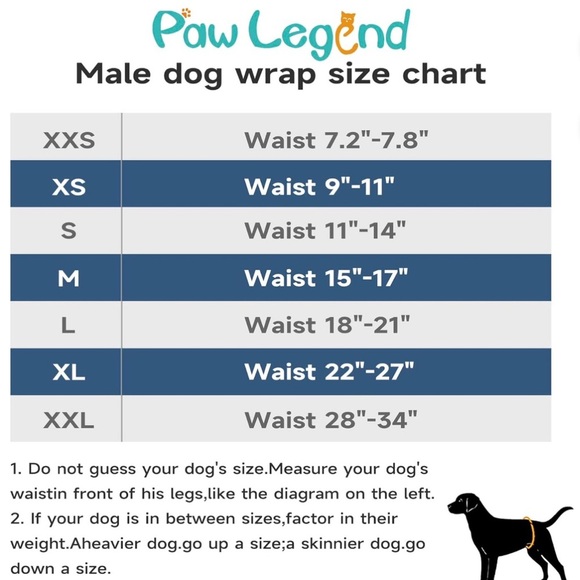NWOT 2 Male Dog Diapers / Belly Bands by Paws Legend & LangSpirt Sz. Medium - Picture 8 of 8